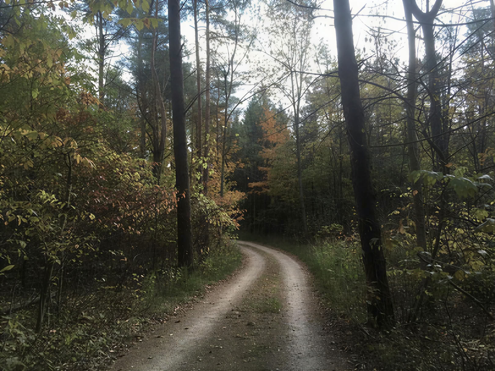 Växtmedicinsk retreat