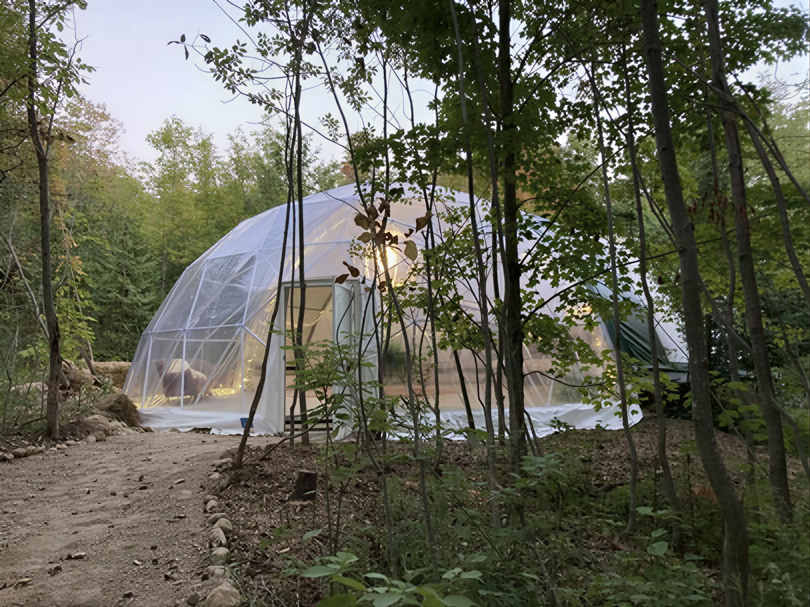 Växtmedicinsk retreat