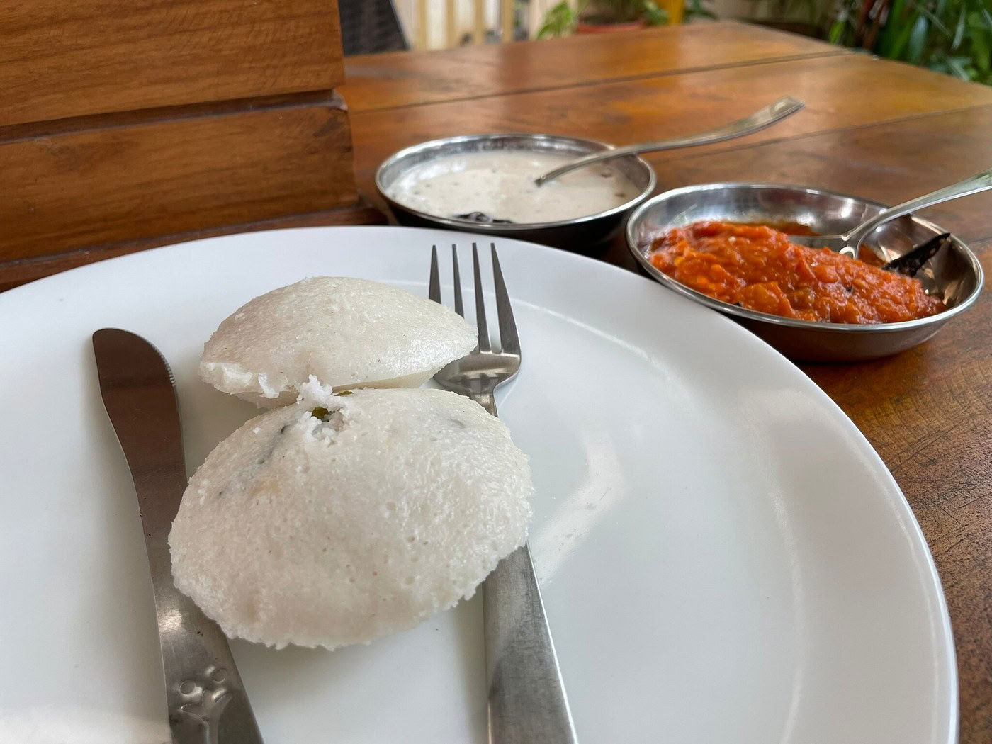 Mellan havet och tystnaden: yoga- och ayurvedaretreat i hjärtat av Kerala, Indien