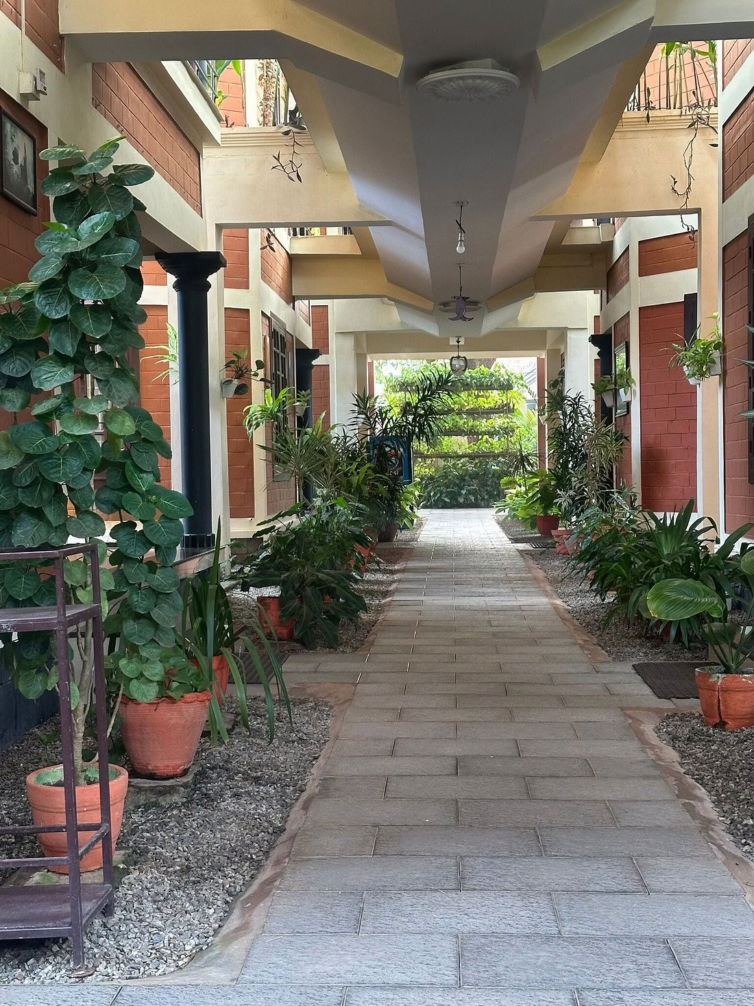 Mellan havet och tystnaden: yoga- och ayurvedaretreat i hjärtat av Kerala, Indien