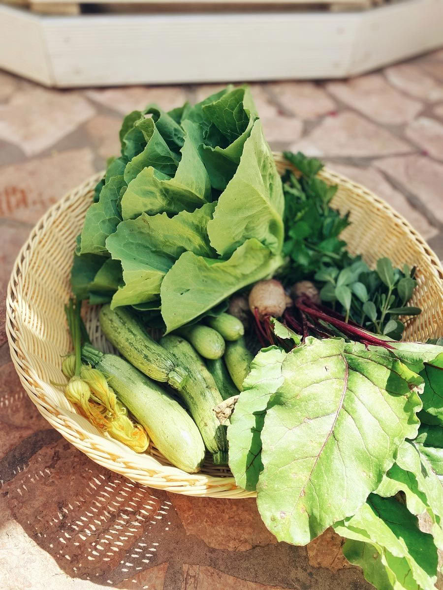 Fördjupningsretreat: Kom ihåg din essens