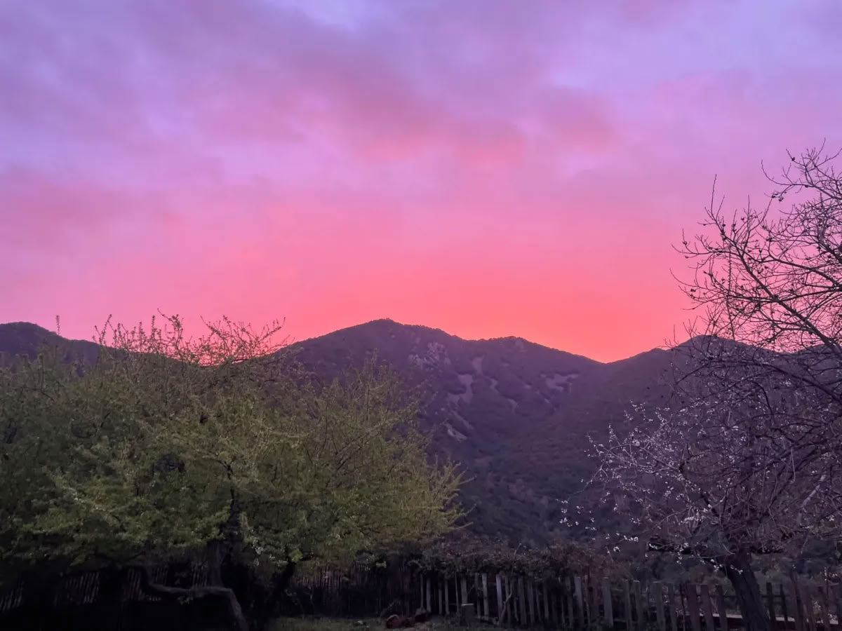 San Pedro-retreat och ayahuasca — 4 dagar