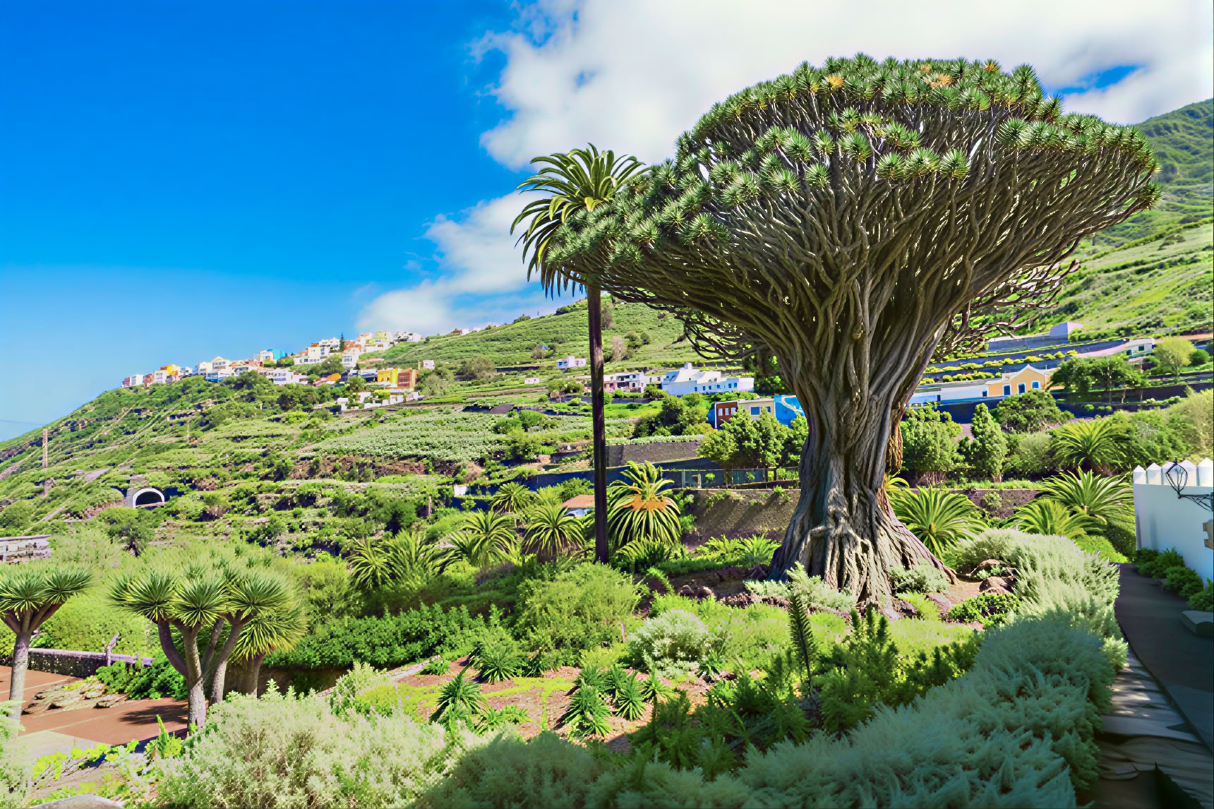 Meditationstur på Teneriffa