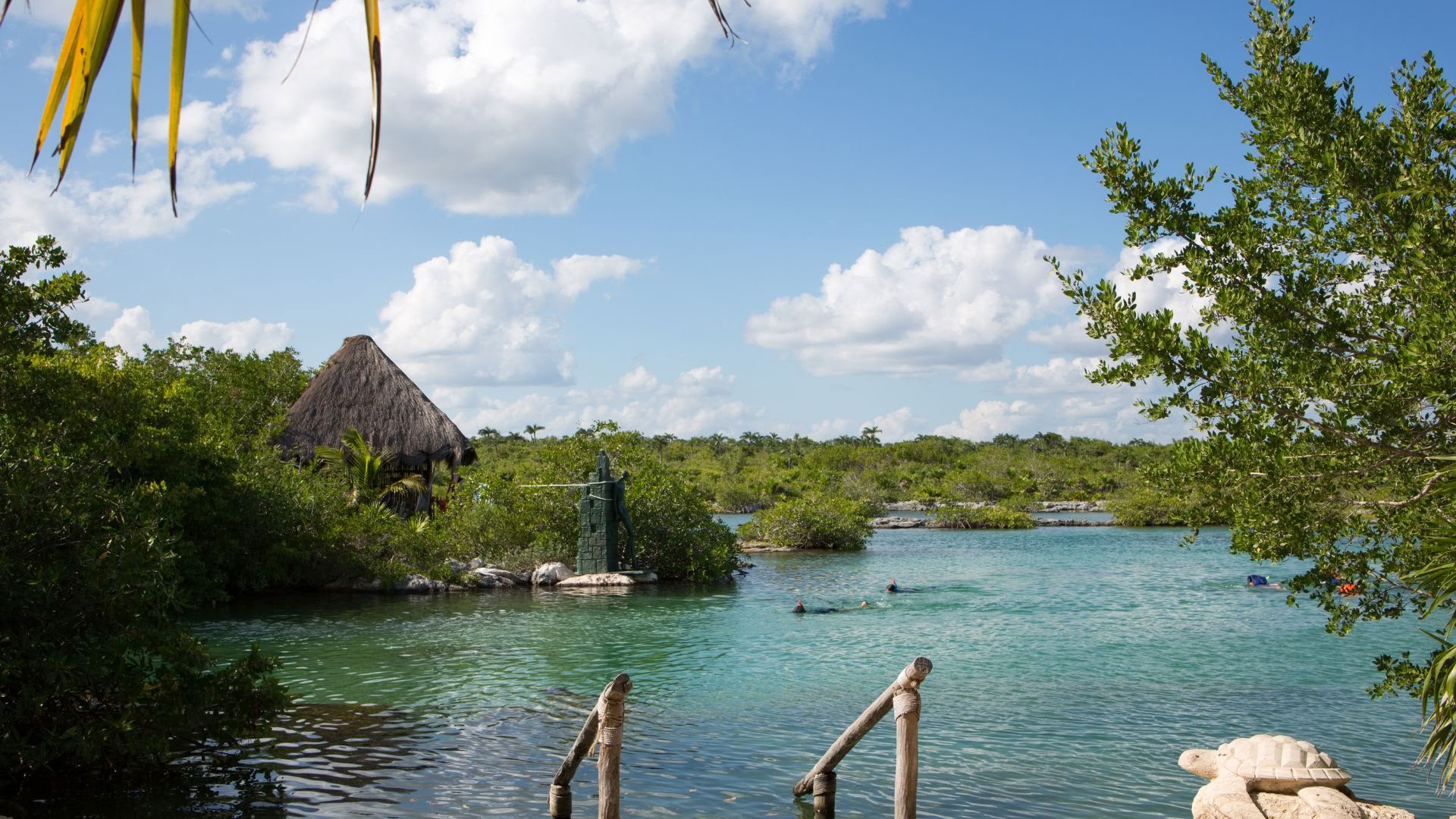 Akumal Wellnessretreat: Svit med havsutsikt