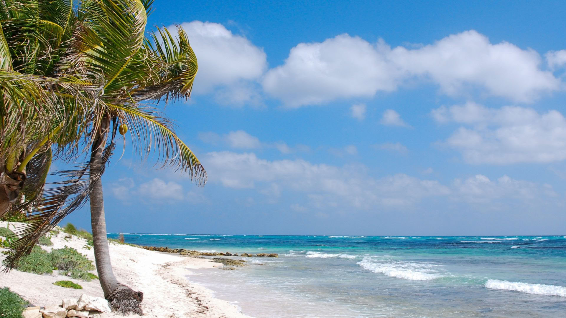 Akumal wellnessretreat: enkelrum med eget badrum