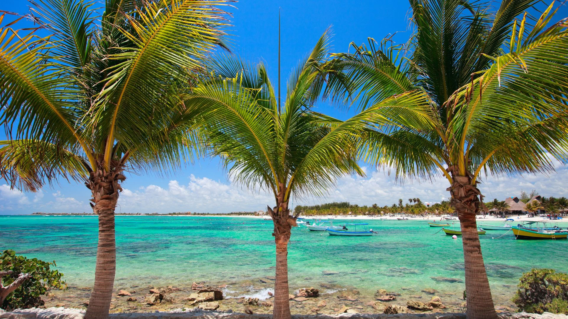 Akumal wellnessretreat: enkelrum med eget badrum