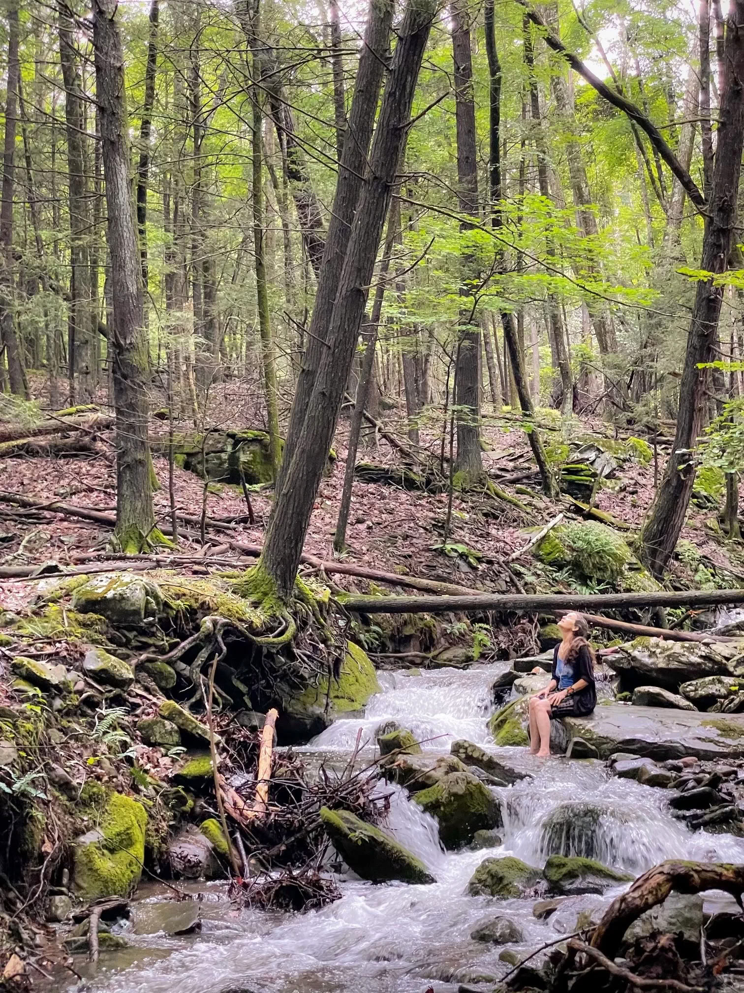 Skördefest på N.E.S.T. med Hudson Valley Psychedelic Society — ESKFF NEST