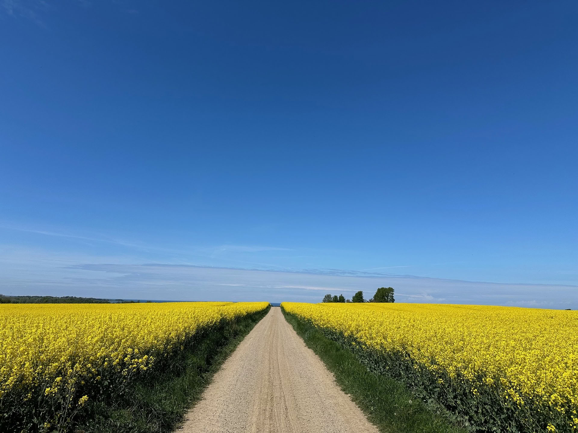 TRE (Trauma-/spänningsfrigörande övningar) workshop – Återställ ditt nervsystem — The Held Space – retreater och workshops för reglering av nervsystemet vid PTSD, CPTSD (komplex PTSD), ångest, utmattning, sorg, trauma, kronisk smärta,