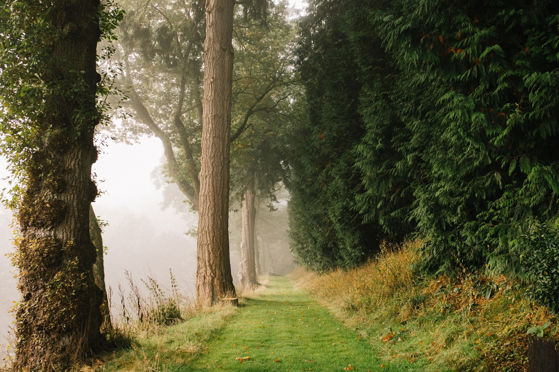 Dagsretreat