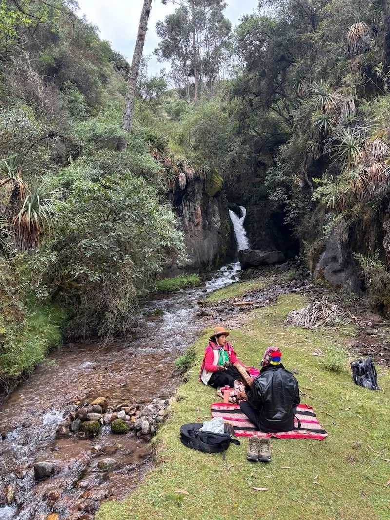 Ayahuasca- och San Pedro-retreat 3 dagar