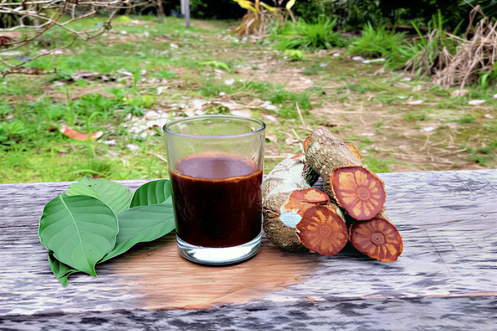 1-dags ayahuascaretreat