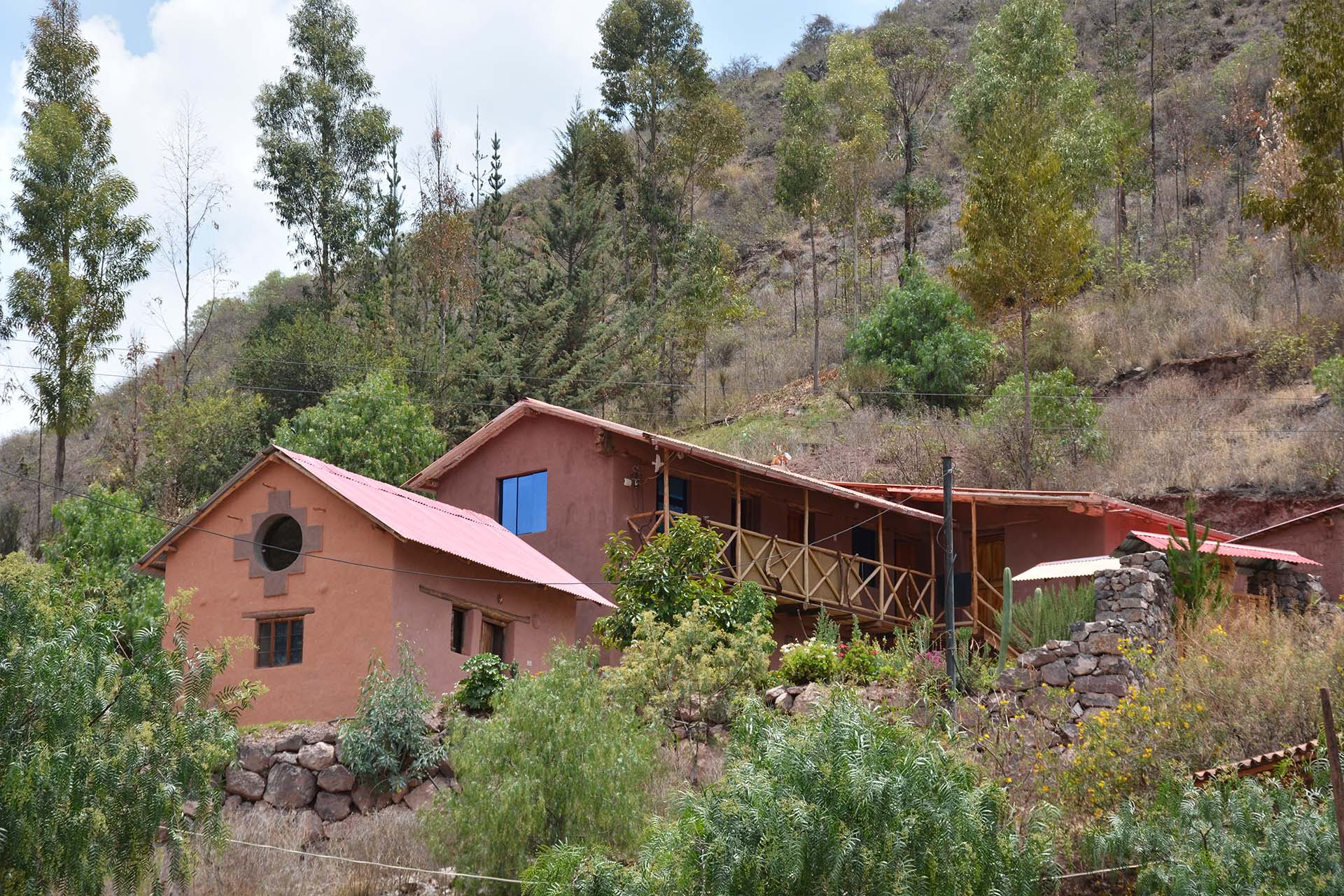 2-dagars ayahuascaretreat i Peru