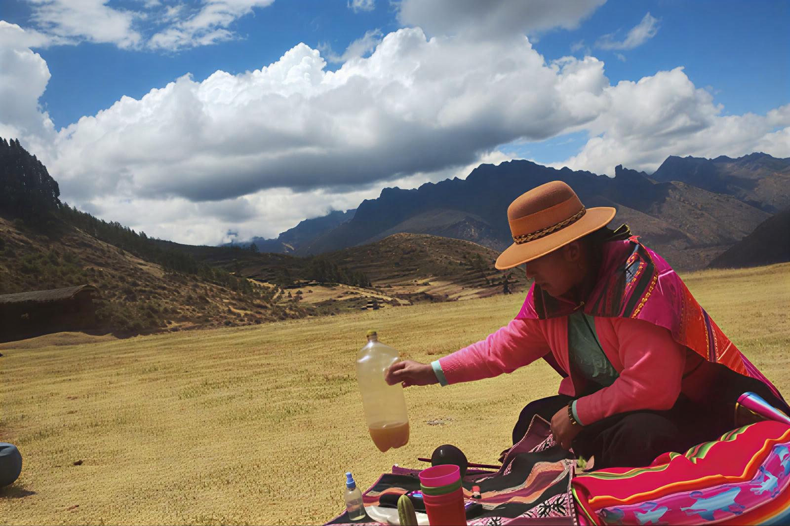 2-dagars San Pedro-retreat i Heliga dalen, Cusco
