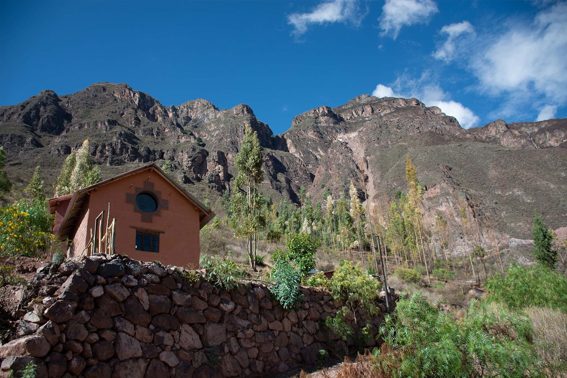 2-dagars San Pedro-retreat i Heliga dalen, Cusco