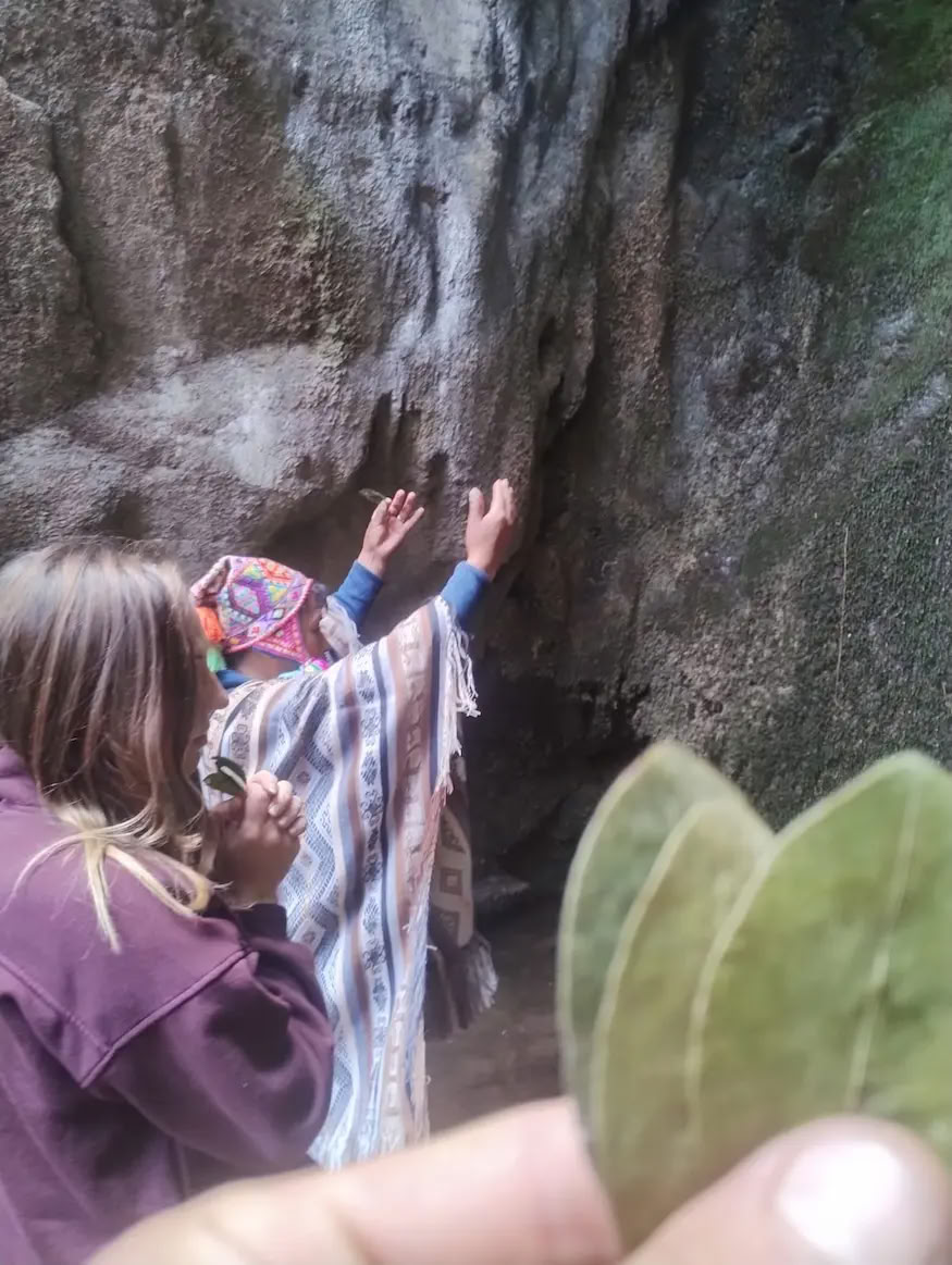 7-dagars ayahuascaretreat