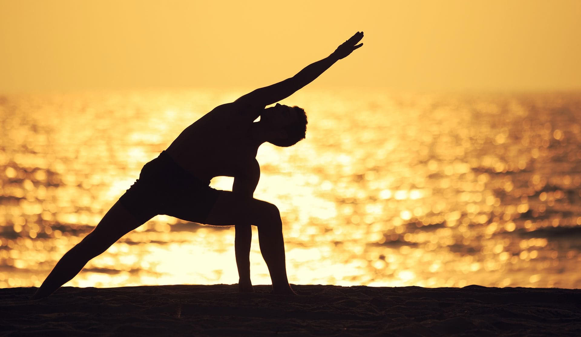 200-timmars lärarutbildning i Hatha Vinyasa-yoga – 28 feb–25 mar