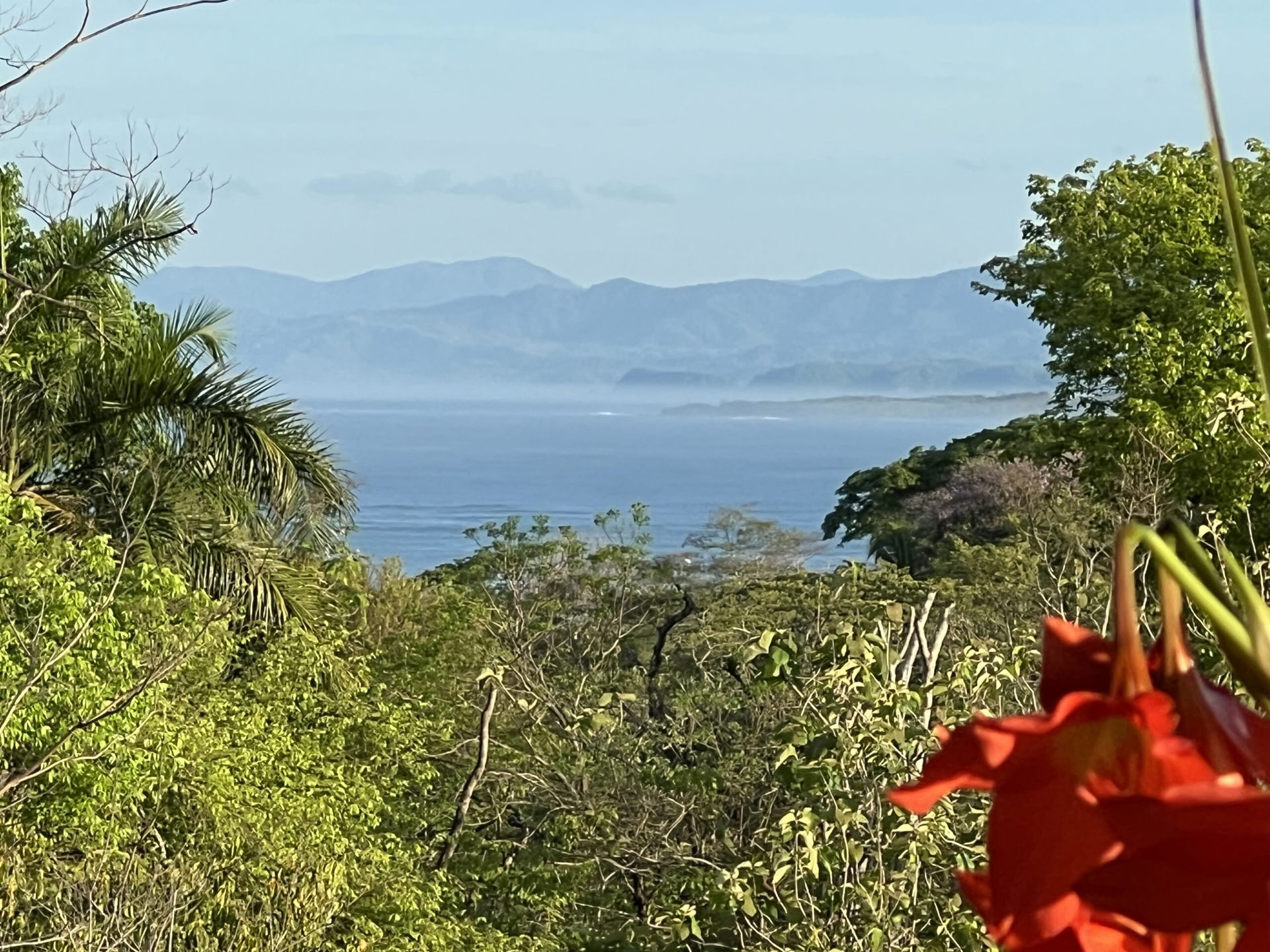 Yoga-retreat i Costa Rica