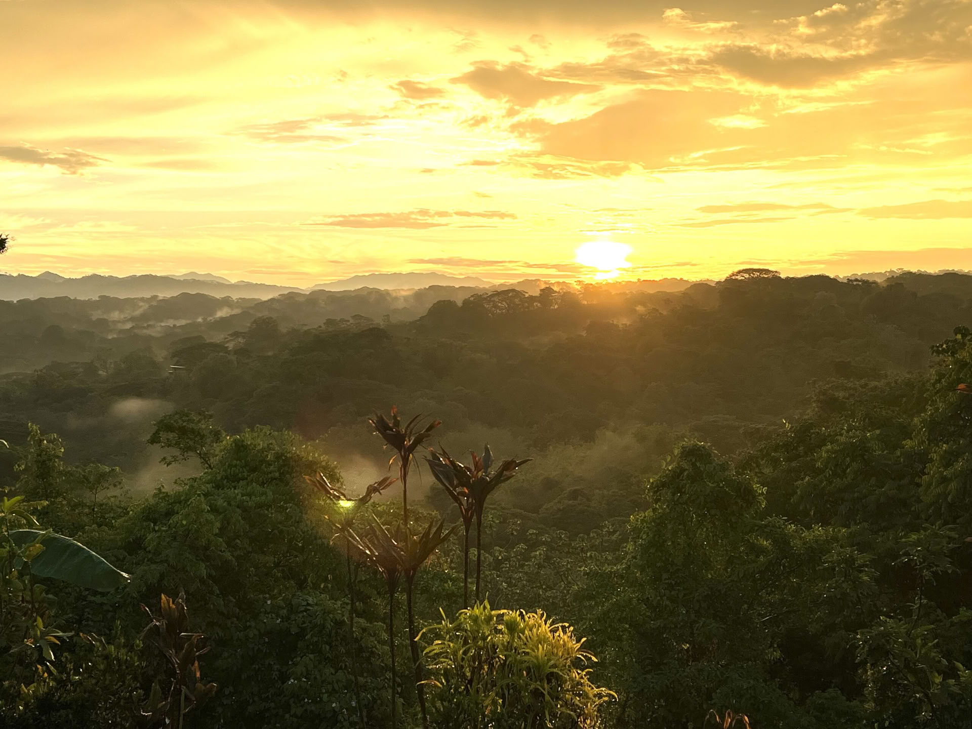 Yoga-retreat i Costa Rica