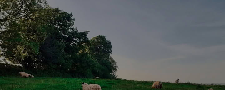 Sharpham Trust Retreat