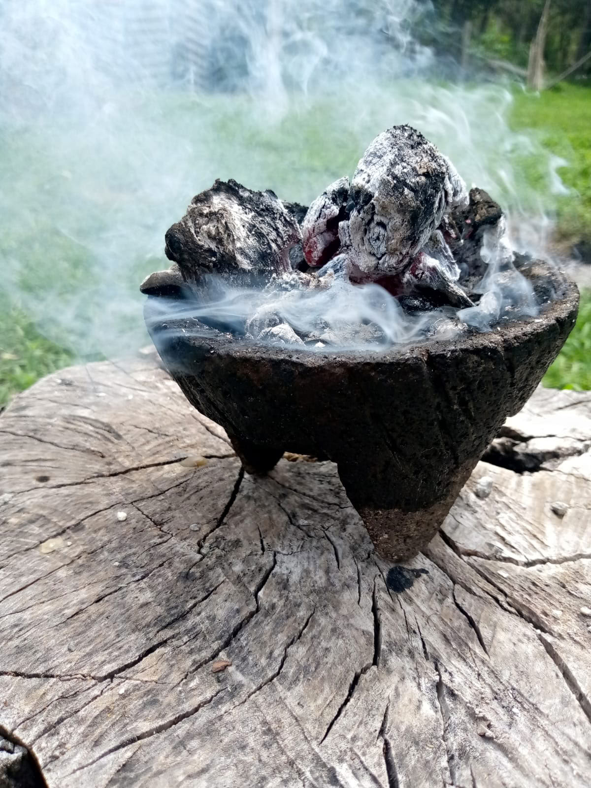 Privat ayahuasca- och San Pedro-ceremoni