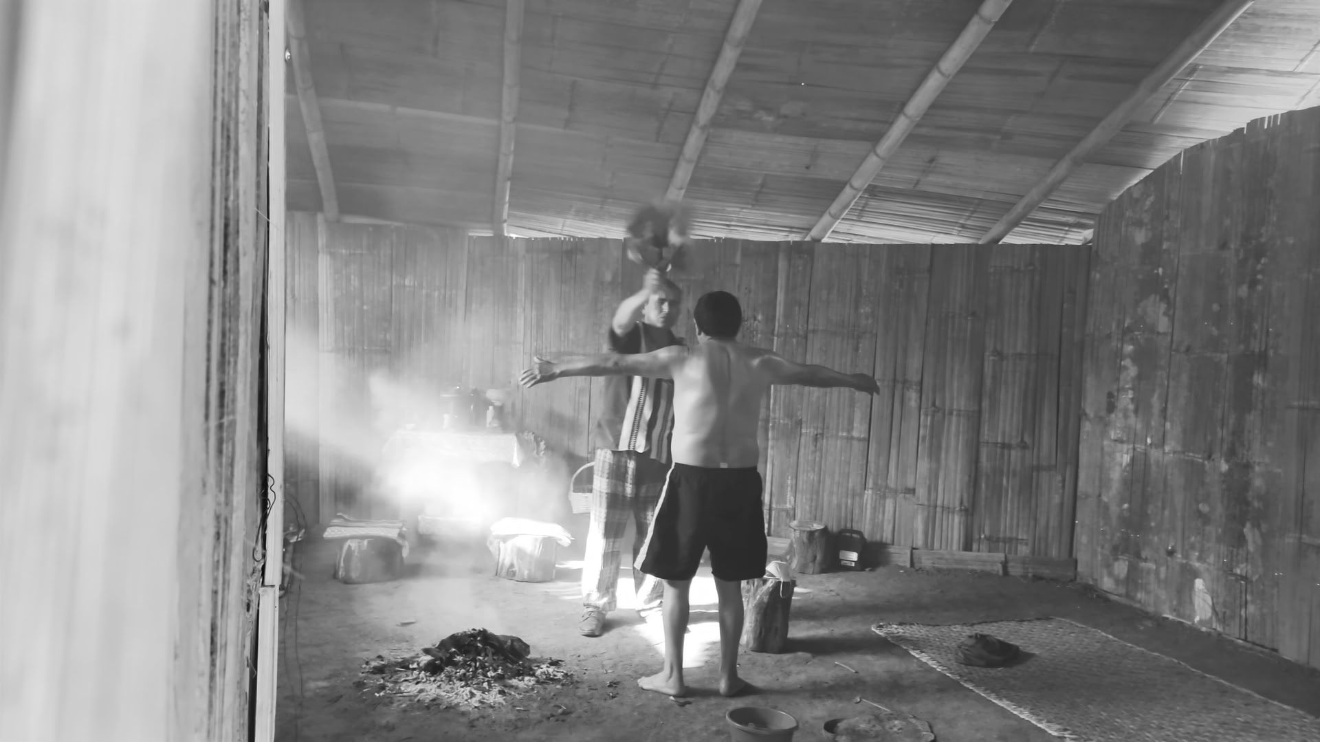 Privat ayahuasca- och San Pedro-ceremoni