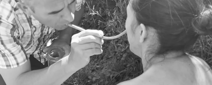 Privat ayahuasca- och San Pedro-ceremoni