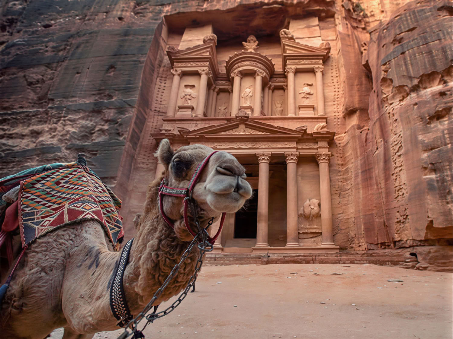 Fly till Jordanien