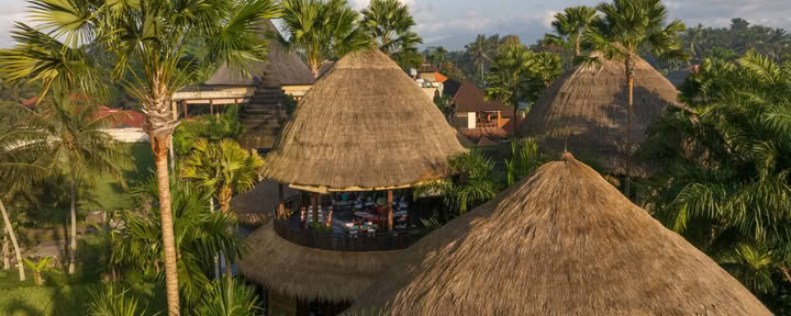 Sommarvibepaket i Ubud, Bali