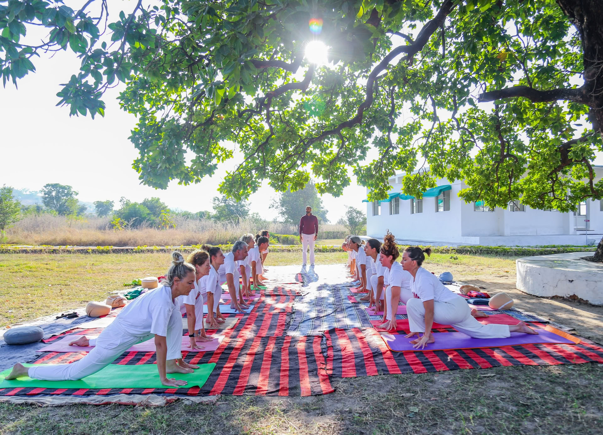 Skapa en stark grund: 200-timmars yogautbildning i Indien 2026