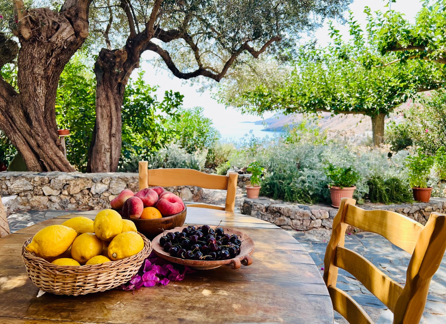 Yoga på Kreta