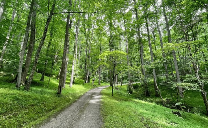 Tillflyktsretreatcenter