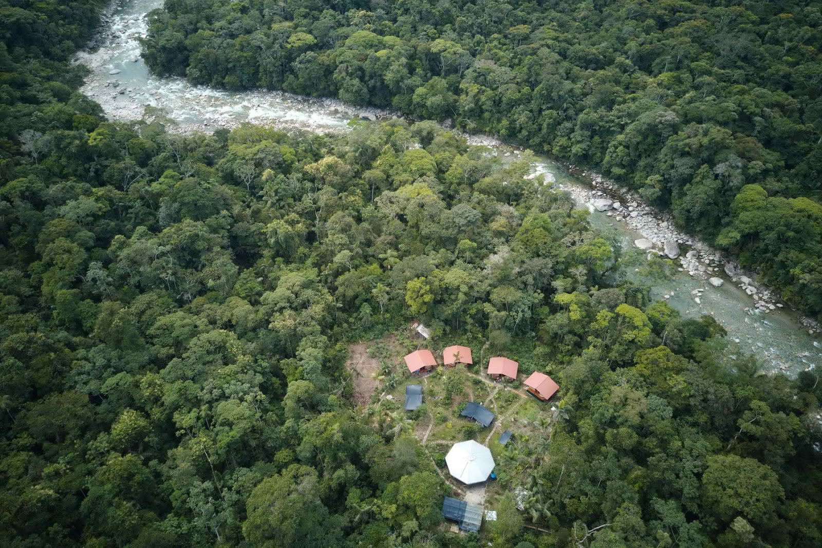 Fjäderkrona Ayahuasca Ecuador