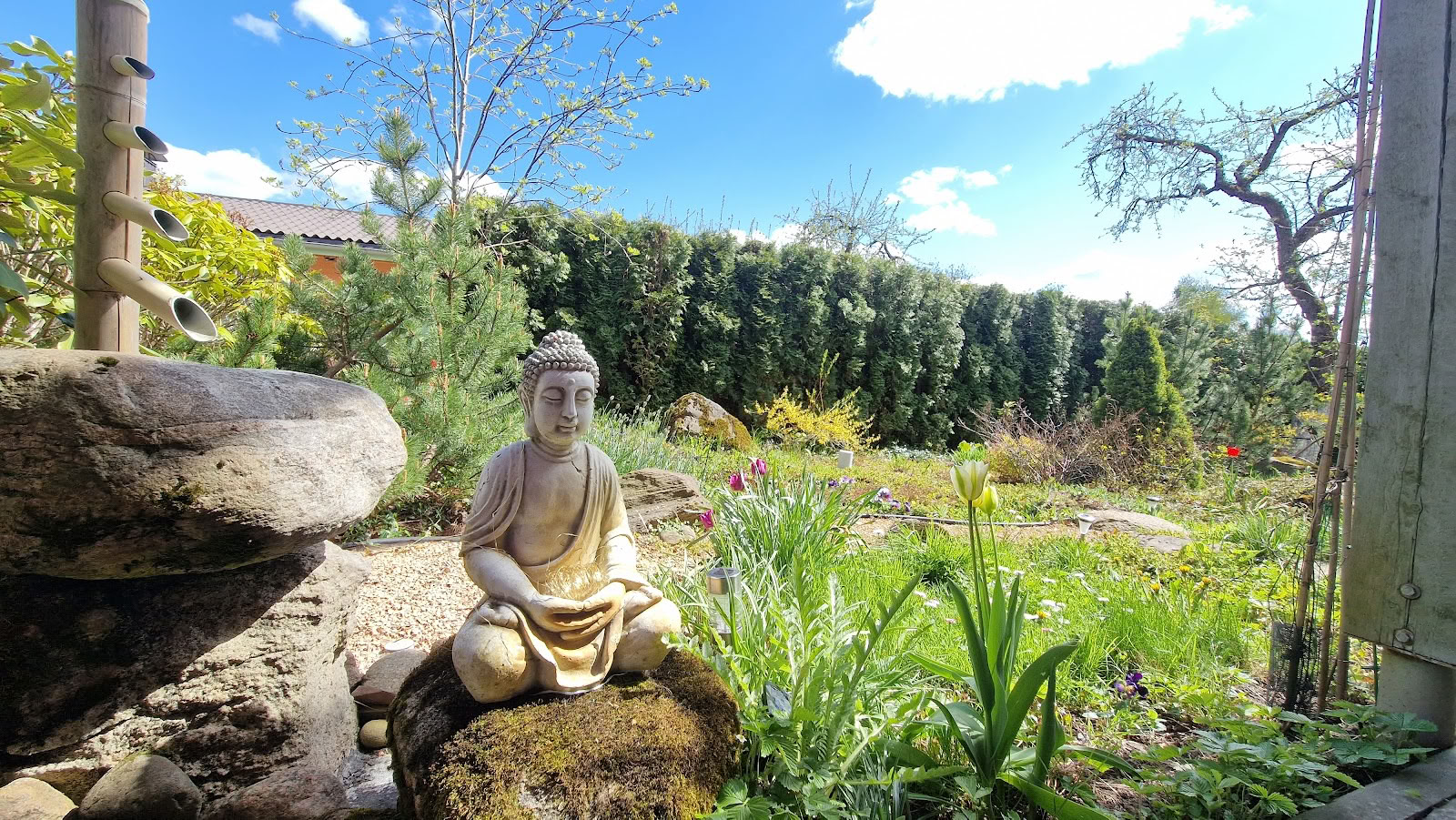 Meditationscentret Ojas, resort / OJAS Meditationscenter Resort
