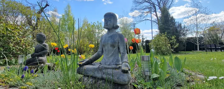 Meditationscentret Ojas, resort / OJAS Meditationscenter Resort