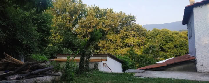 Kalikalos Anilio