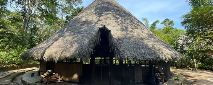Psychonauta Foundation