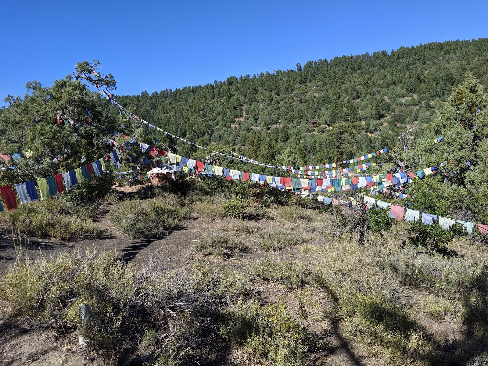 Tara Mandala buddhistiska retreater