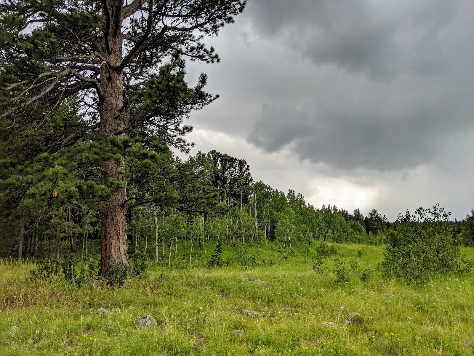 Ekodharma-retreatcenter i Klippiga bergen