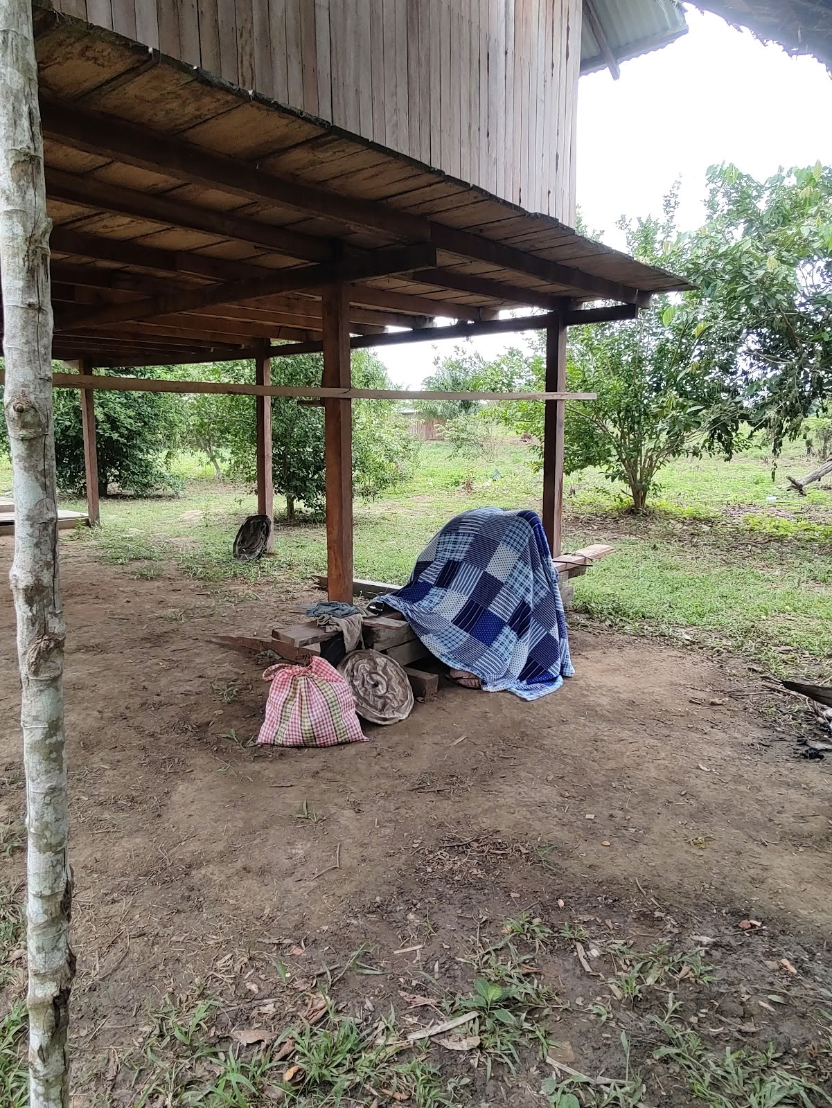 Shipibo ayahuasca- och shamanismgrundning
