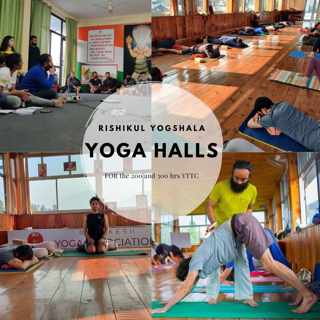 Rishikul Yogshala Rishikesh - Yogalärarutbildning i Rishikesh, Indien