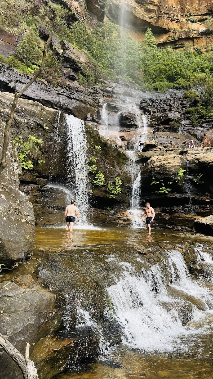 Blue Mountains insiktsmeditationscenter