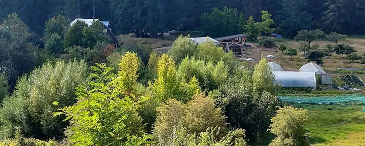 Stowel Lake Farm