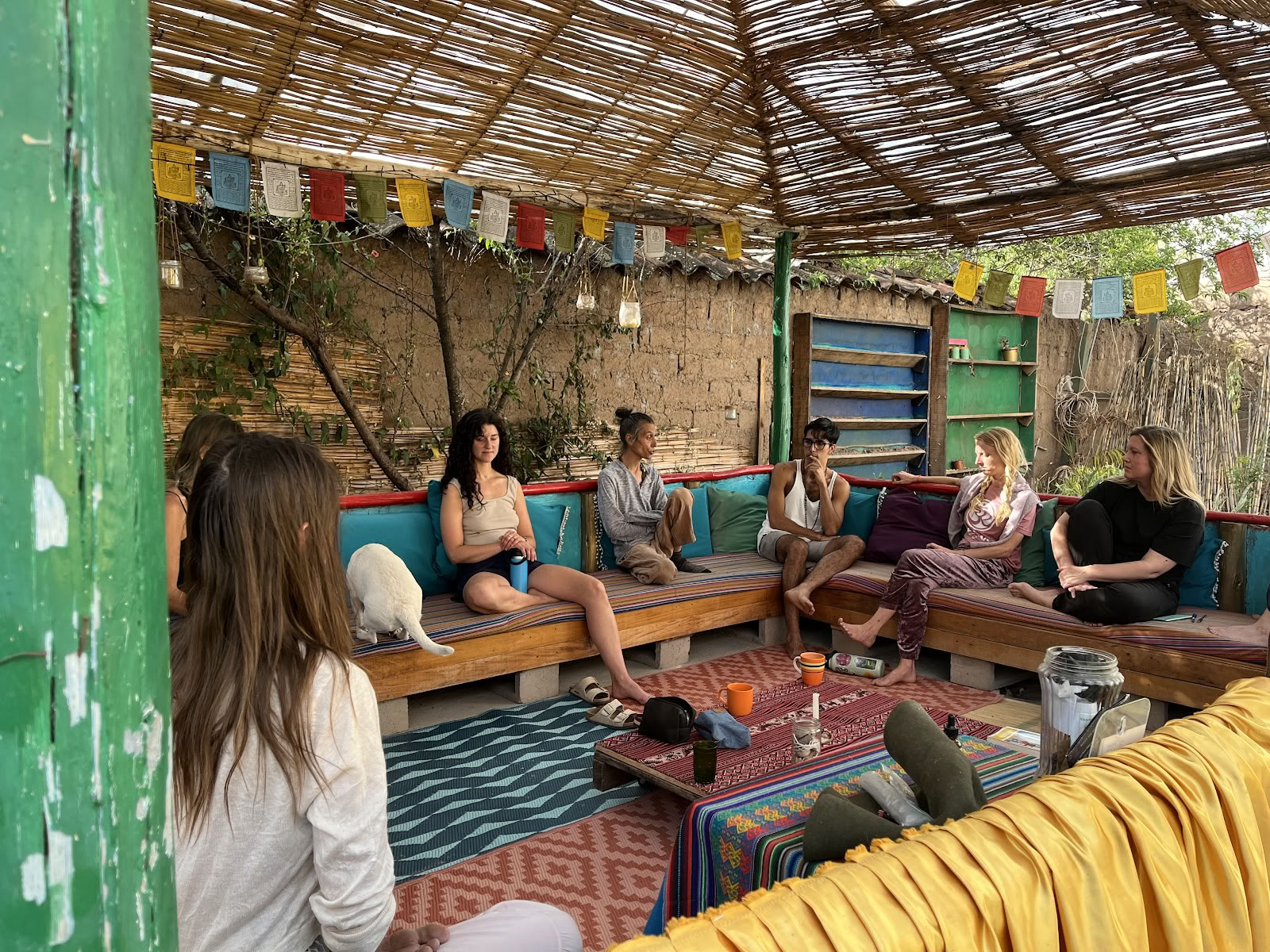 Tantraya | Ayahuasca-retreater