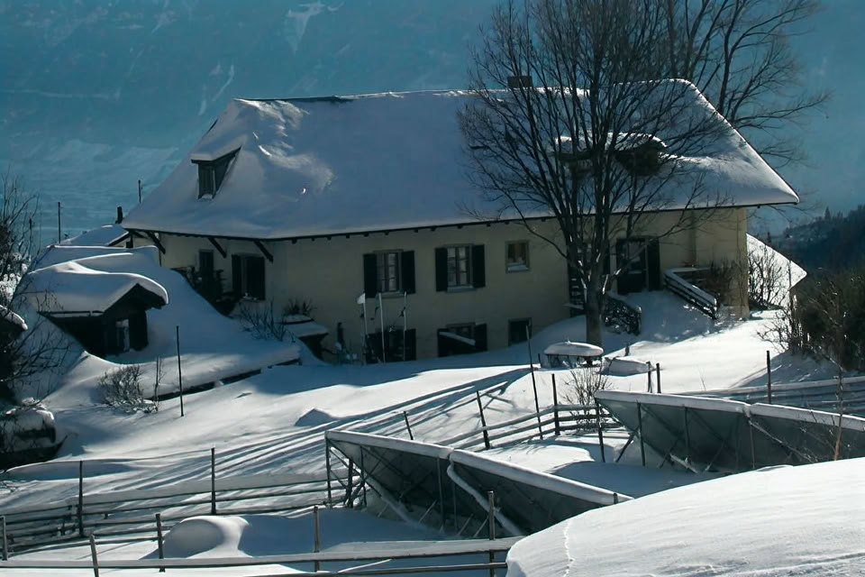 Hotell Balance