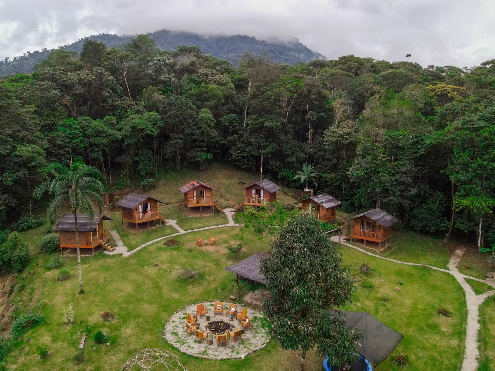 Djungelharmoni - Ayahuasca-retreater Yagé