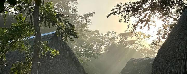 Kene Nete Healing Center