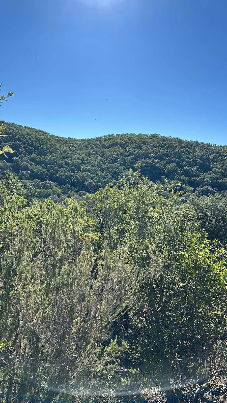 Essencia naturretreat