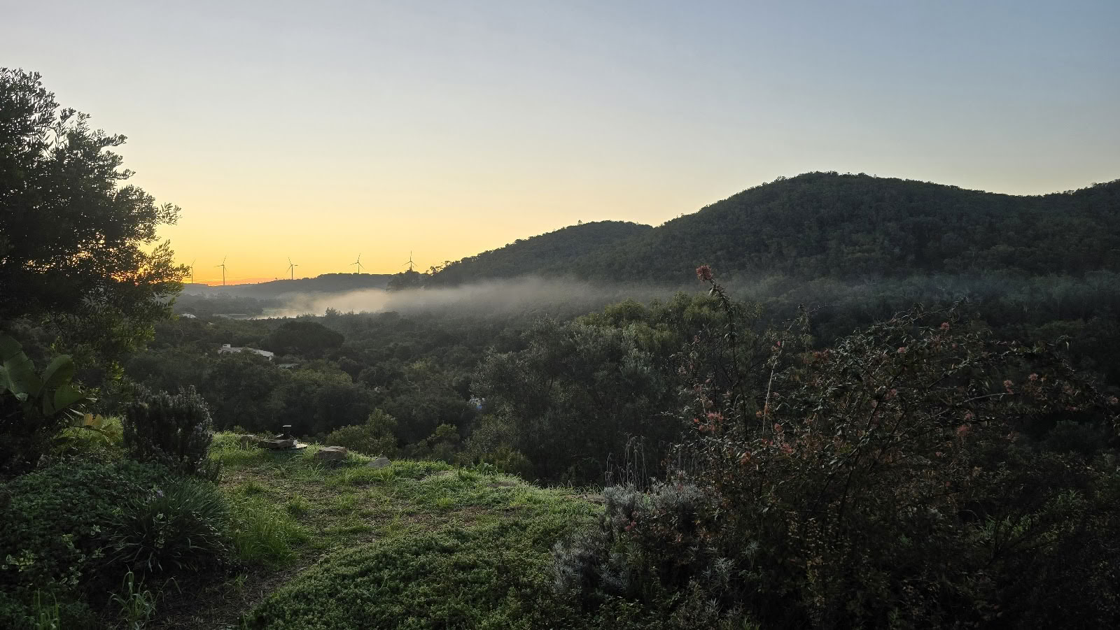 Essencia naturretreat