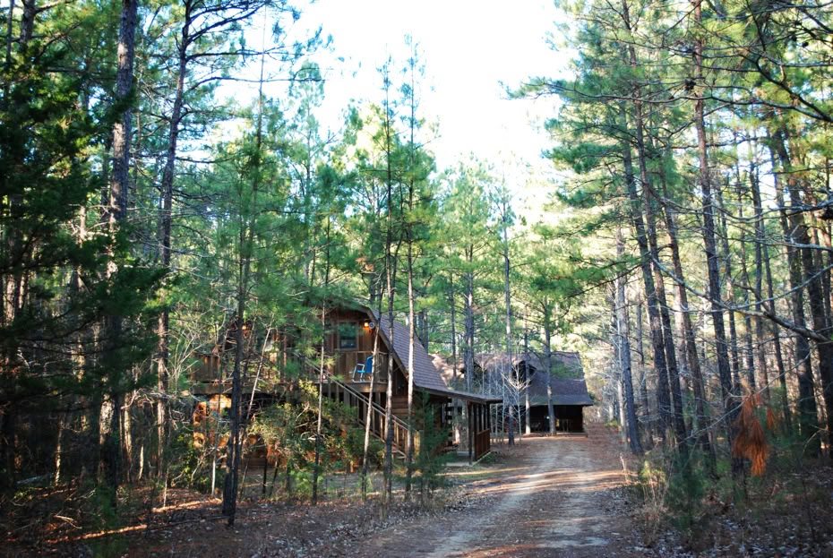 Retreat bland tallarna