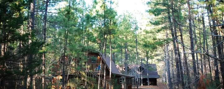 Retreat bland tallarna